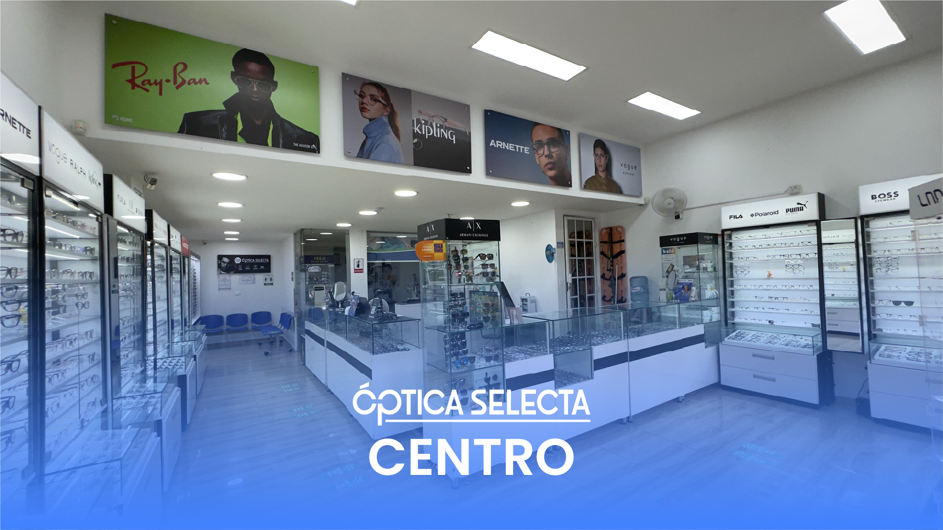 Sede 7