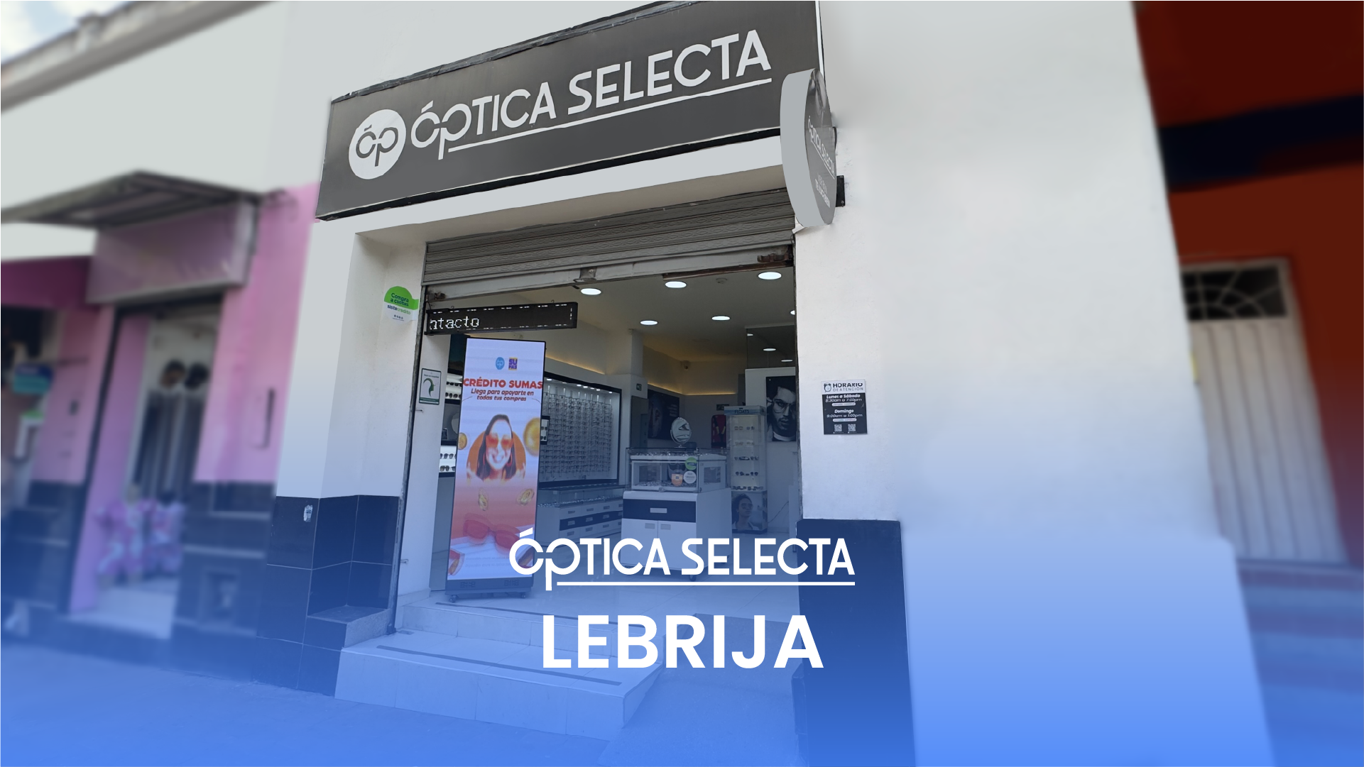 Sede 10
